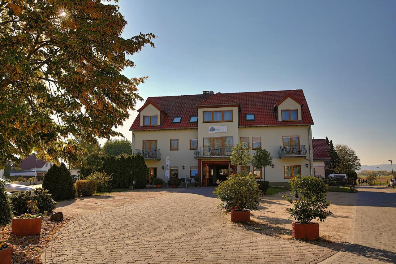 Fetzers Landhotel Ingelheim am Rhein Exterior photo